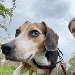 Fundraising Page: Christina Stevens